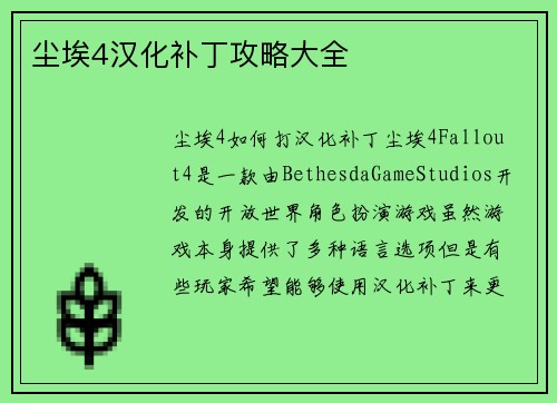 尘埃4汉化补丁攻略大全