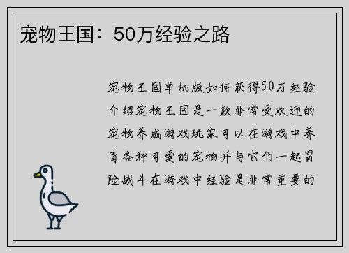 宠物王国：50万经验之路